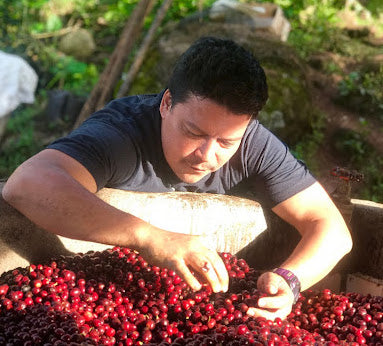 What is a Natural Coffee and Why You Should Try It?
