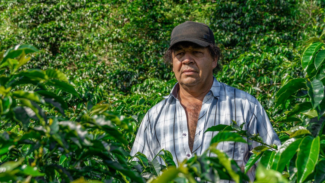 Meet our farmers: Finca Tamaná