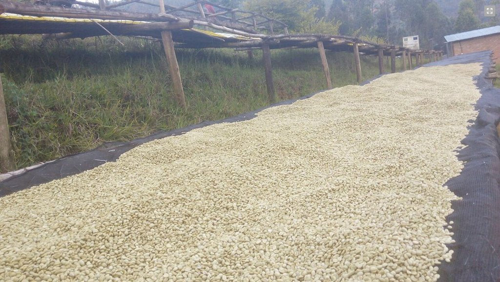 Guest coffee from Rwanda