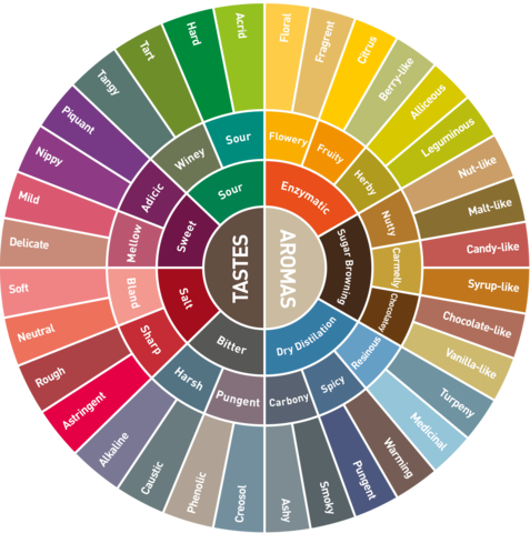 Coffee cupping with a coffee flavour wheel