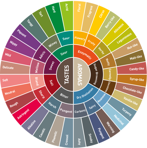 Coffee: A sensory journey